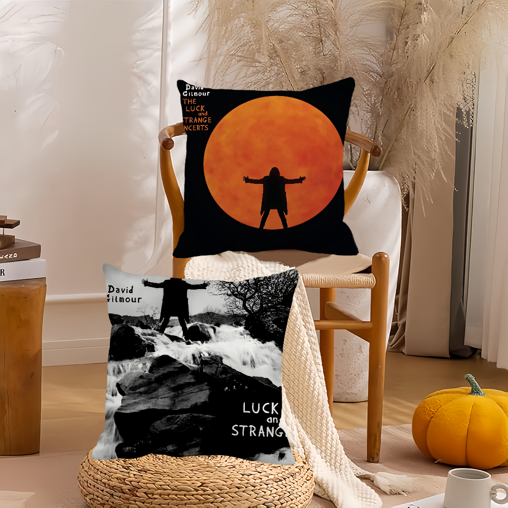 Singer D-David G-Gilmour Pillo – обзор и цена Pillow Cover 20X20