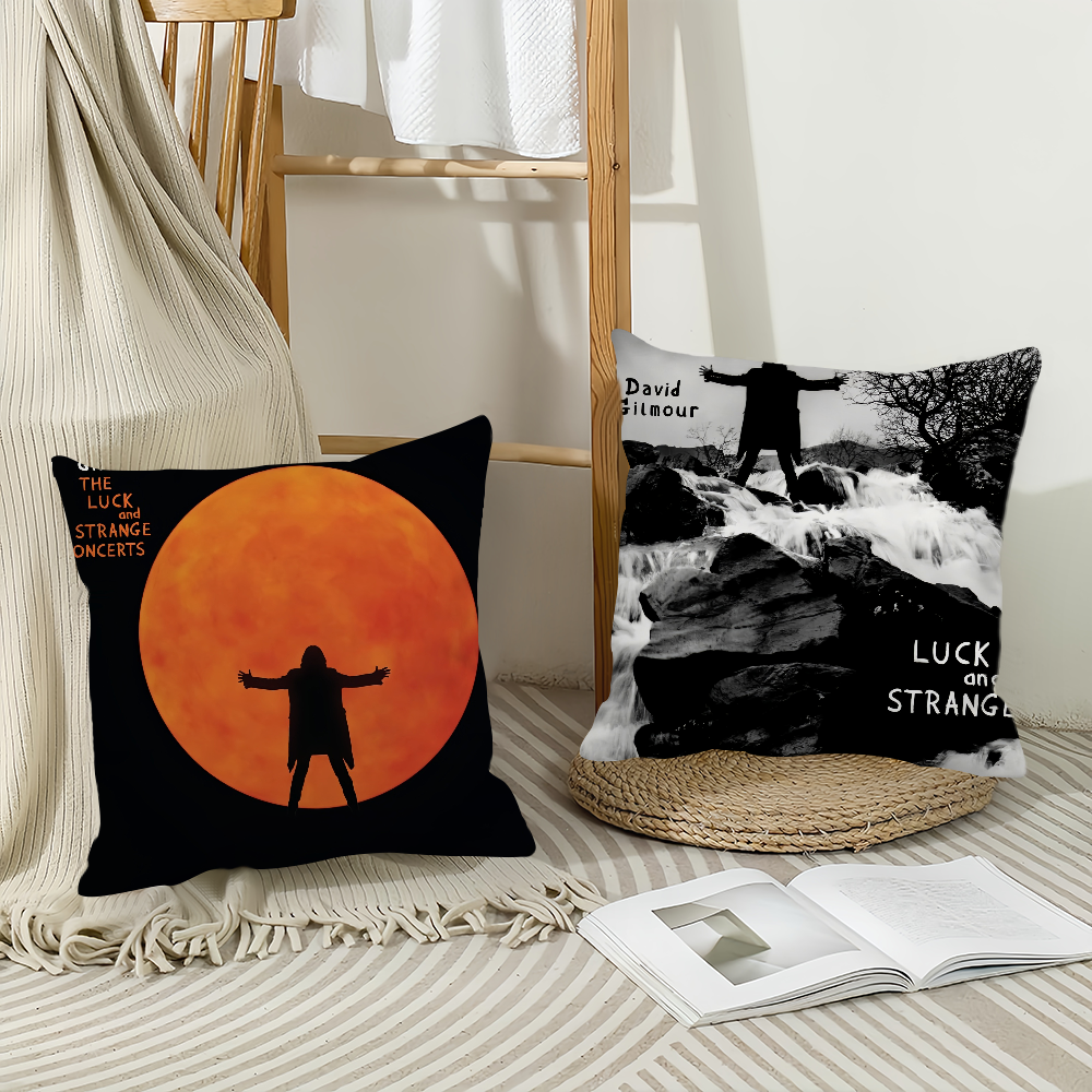 Singer D-David G-Gilmour Pillo – обзор и цена Pillow Cover 20X20