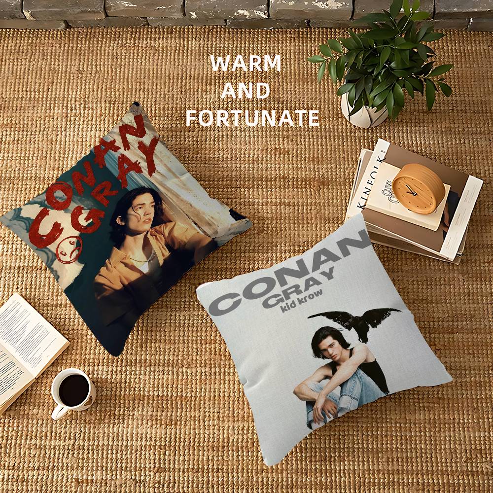 Singer C-Conan Gray Personaliz – обзор и цена Home Textiles Inc